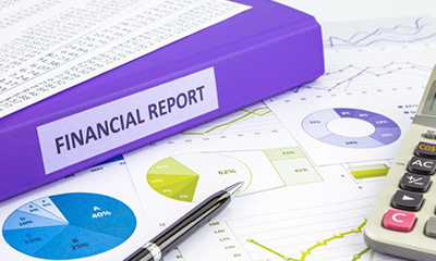 Annual Financial Report