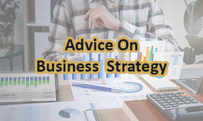 Advice on Business Strategy