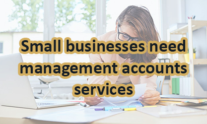 Small businesses need management accounts