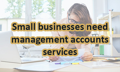 Small businesses need management accounts
