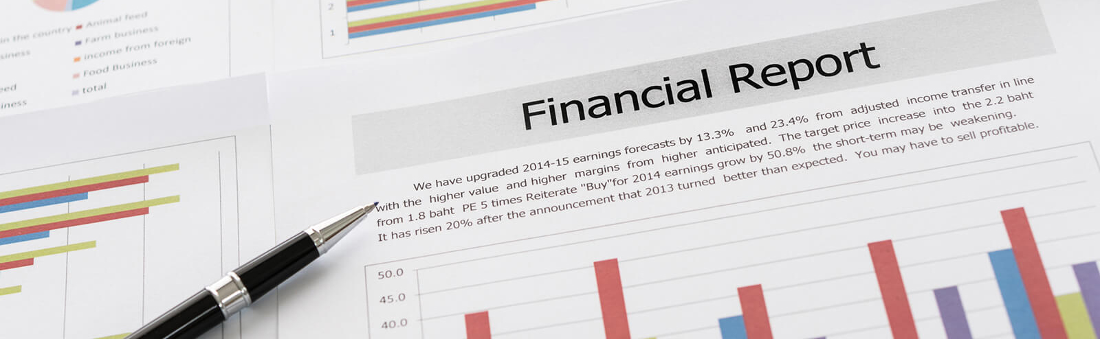 Annual Finance Reports